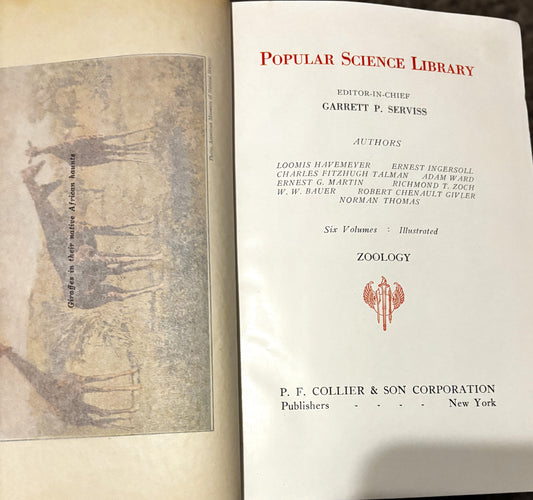 BOOKS - Popular Science - The Story of our Animals