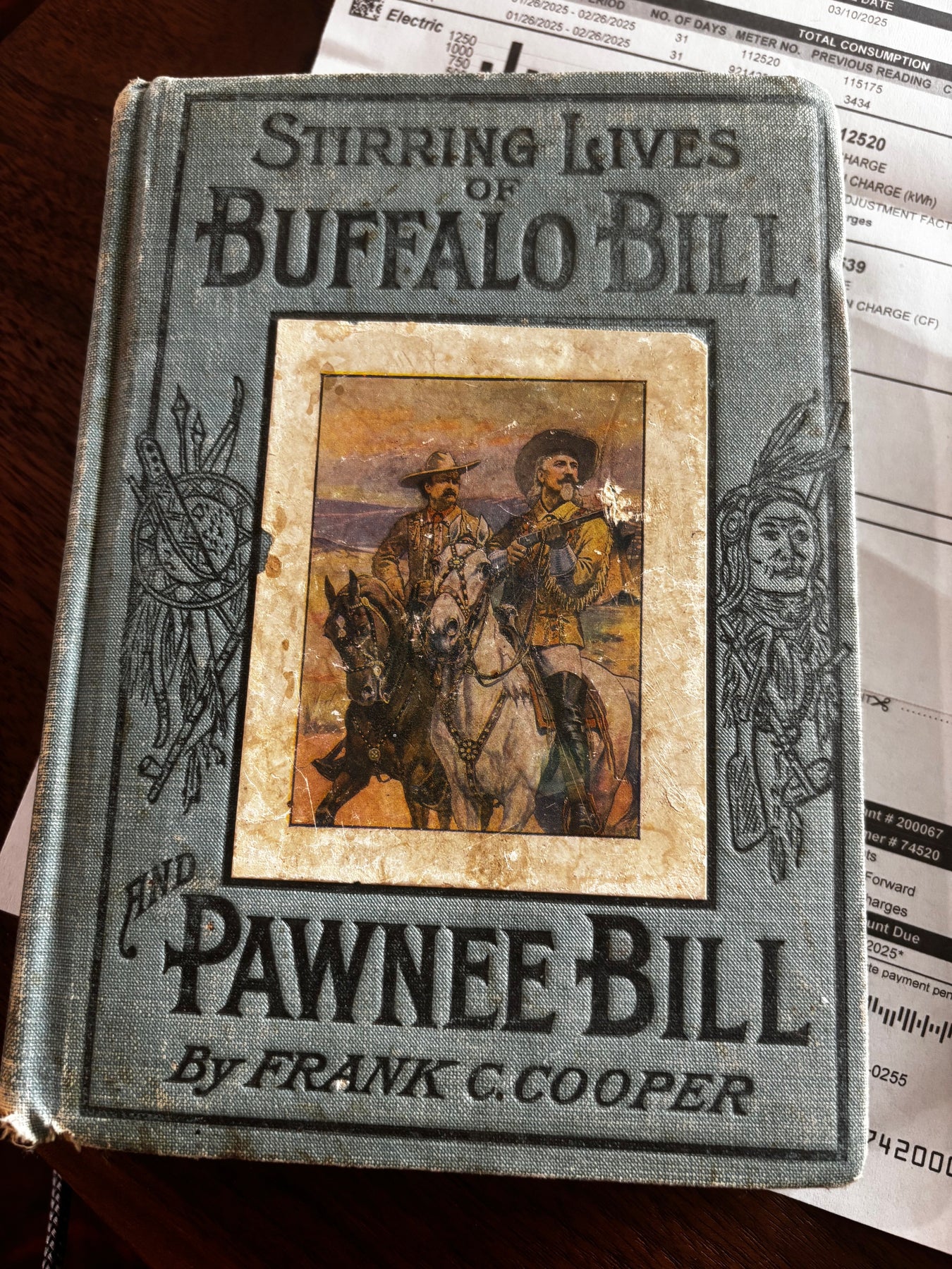 Antique and Historic Books (most likely not related to bison)