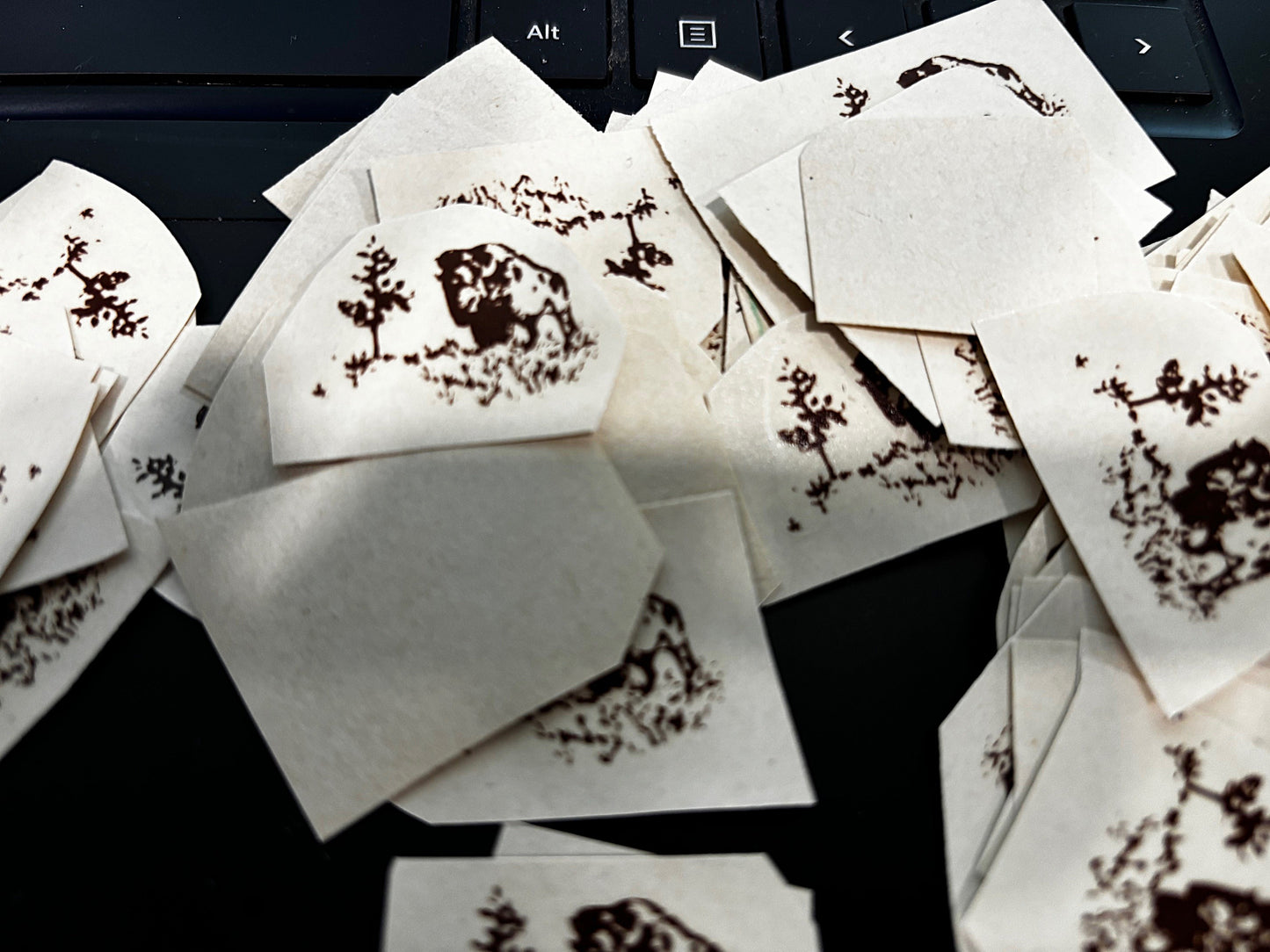 Water Decals - bison (small)