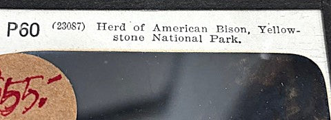 Magic Lantern glass slides