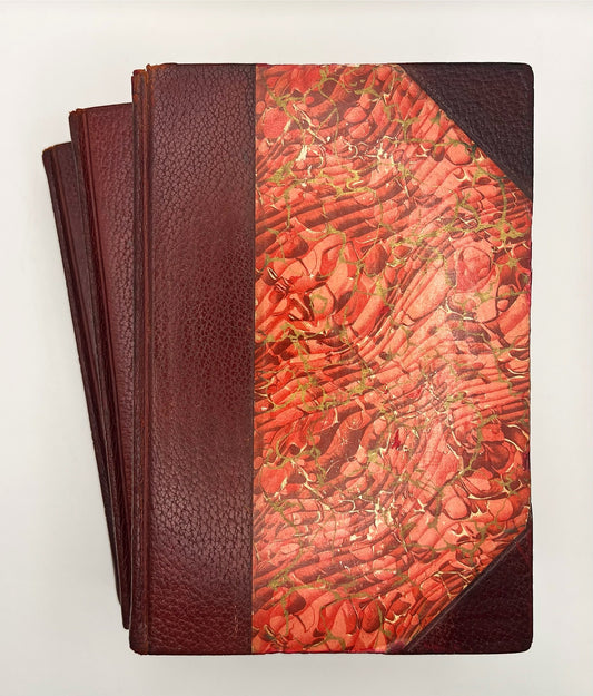 BOOKS - The Romances of Dumas  (1893)