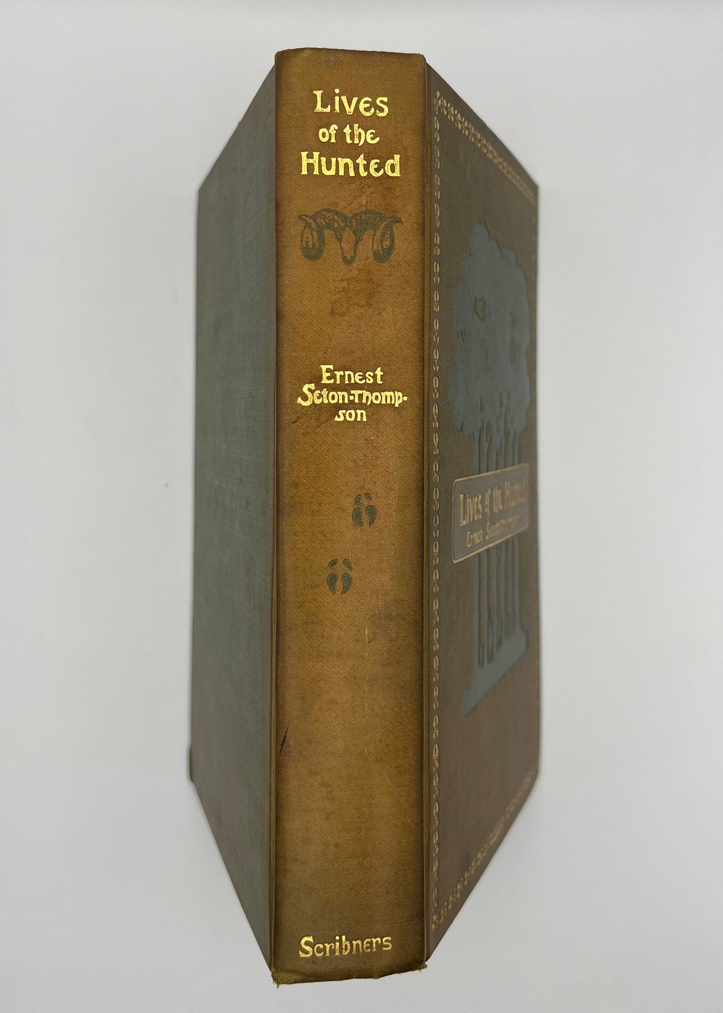 BOOKS - Lives of the Hunted - 1901