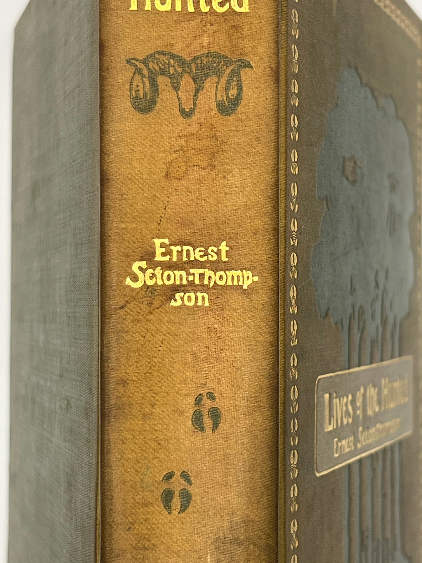 BOOKS - Lives of the Hunted - 1901