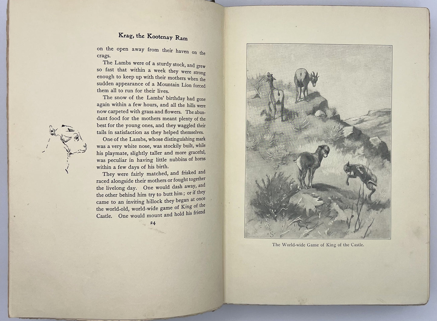 BOOKS - Lives of the Hunted - 1901