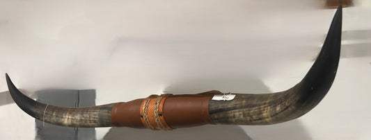 Longhorn Set