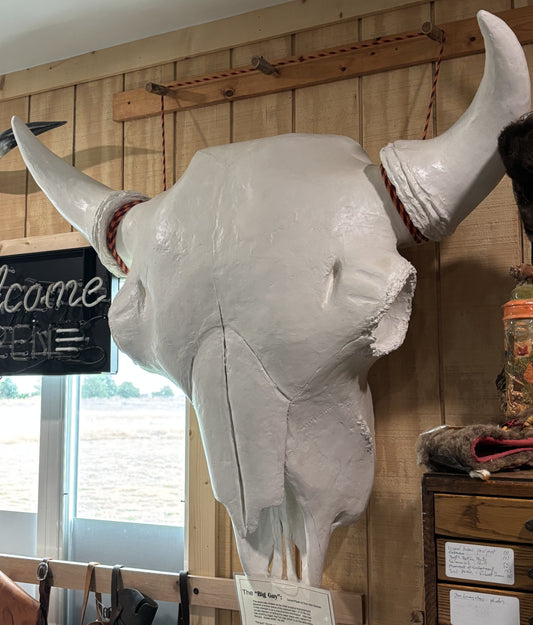3 times lifesize bison bull skull - the Really Big Guy -