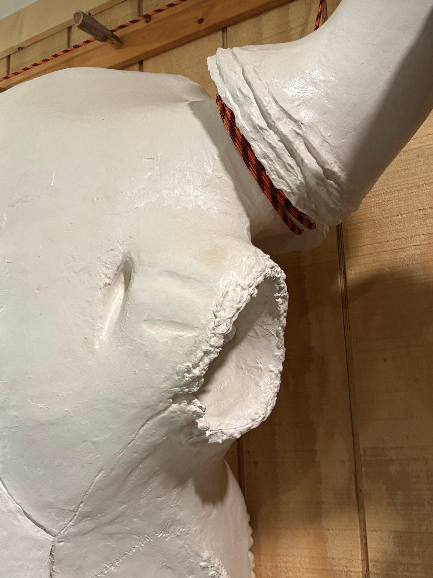 3 times lifesize bison bull skull - the Really Big Guy -