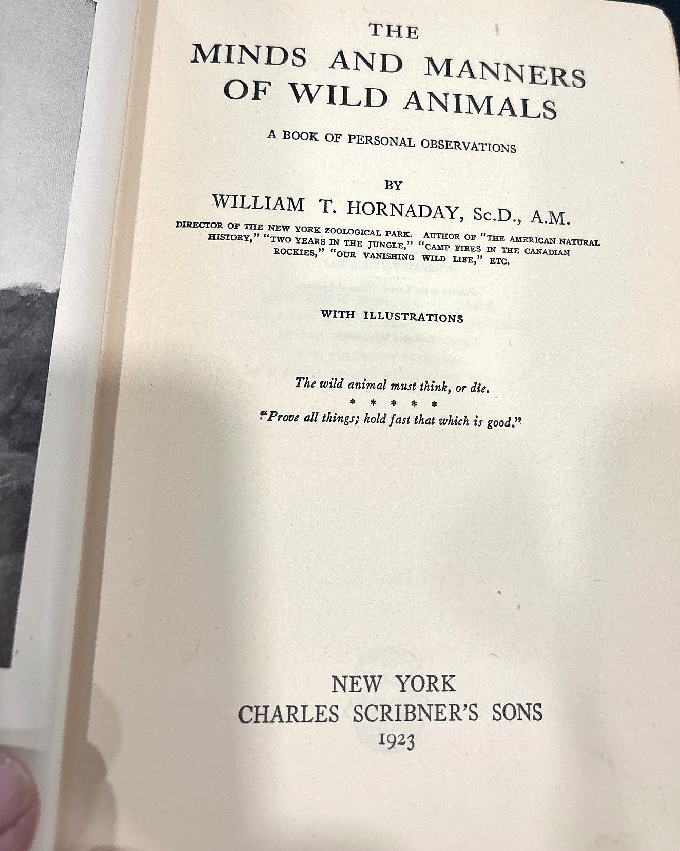 BOOKS - The Minds and Manners of Wild Animals