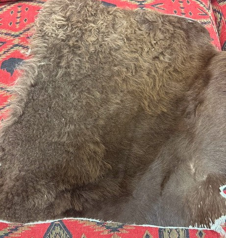 Bison Hide Art - the "Gift Certificate Duo painted by Darlene Wright