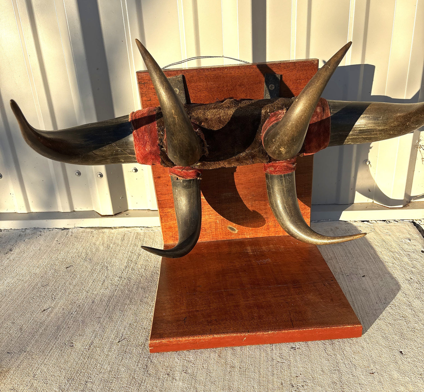 Historic - Antique Bison Horn Hat/Coat/Gun rig Rack