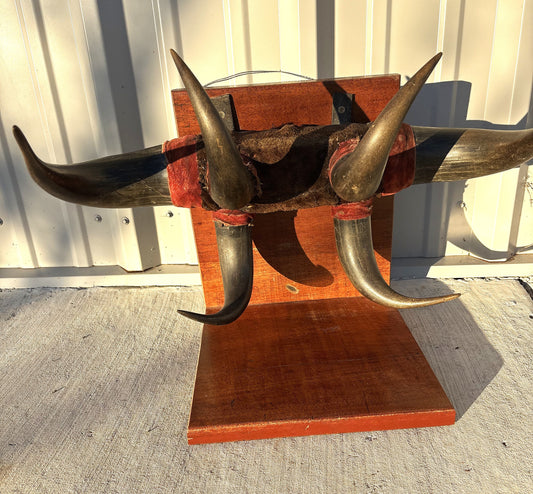 Historic - Antique Bison Horn Hat/Coat/Gun rig Rack