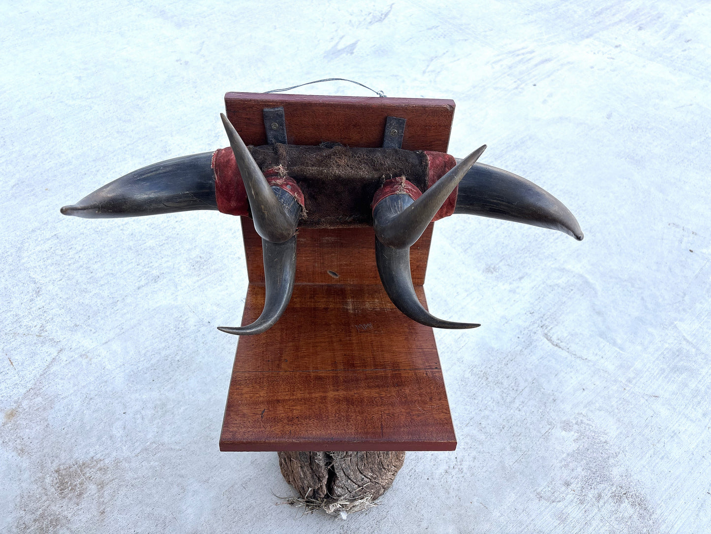 Historic - Antique Bison Horn Hat/Coat/Gun rig Rack