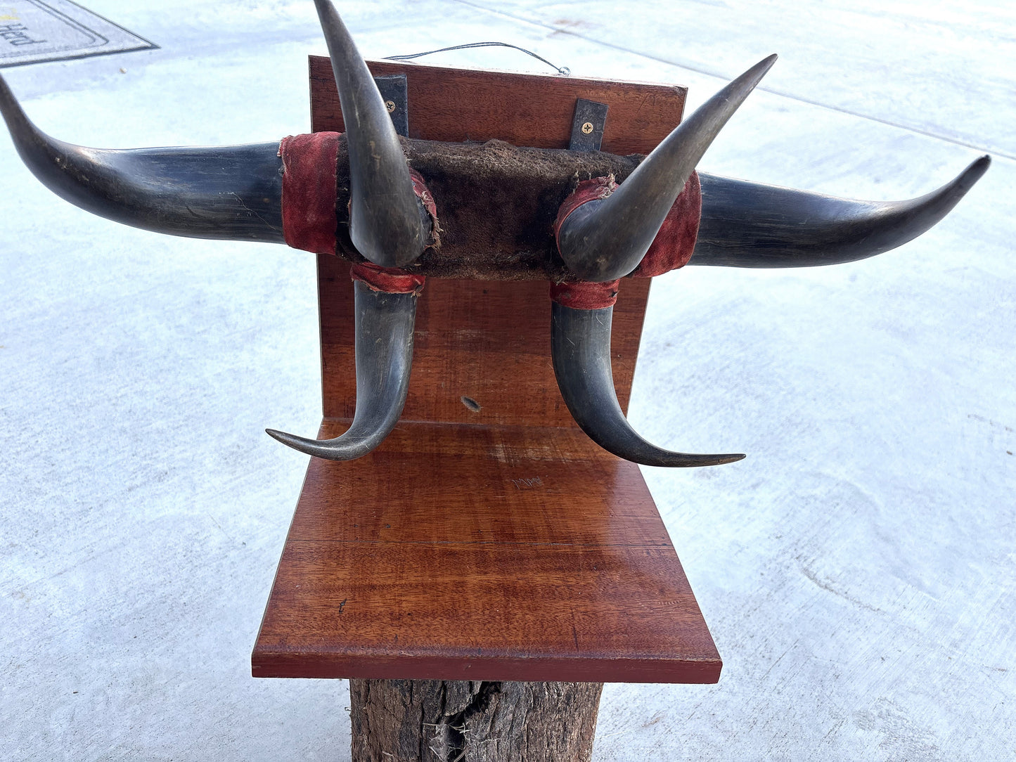 Historic - Antique Bison Horn Hat/Coat/Gun rig Rack
