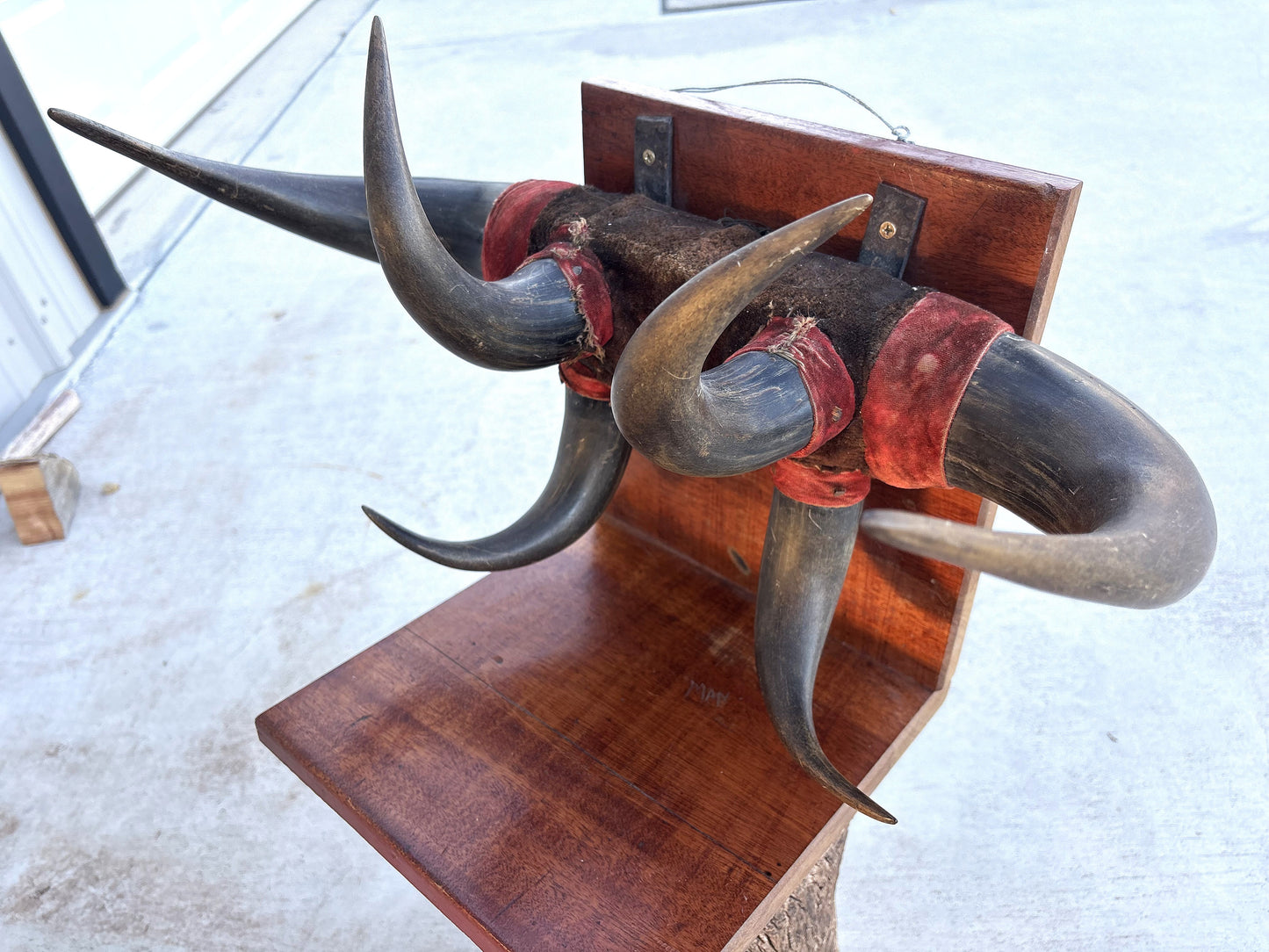 Historic - Antique Bison Horn Hat/Coat/Gun rig Rack