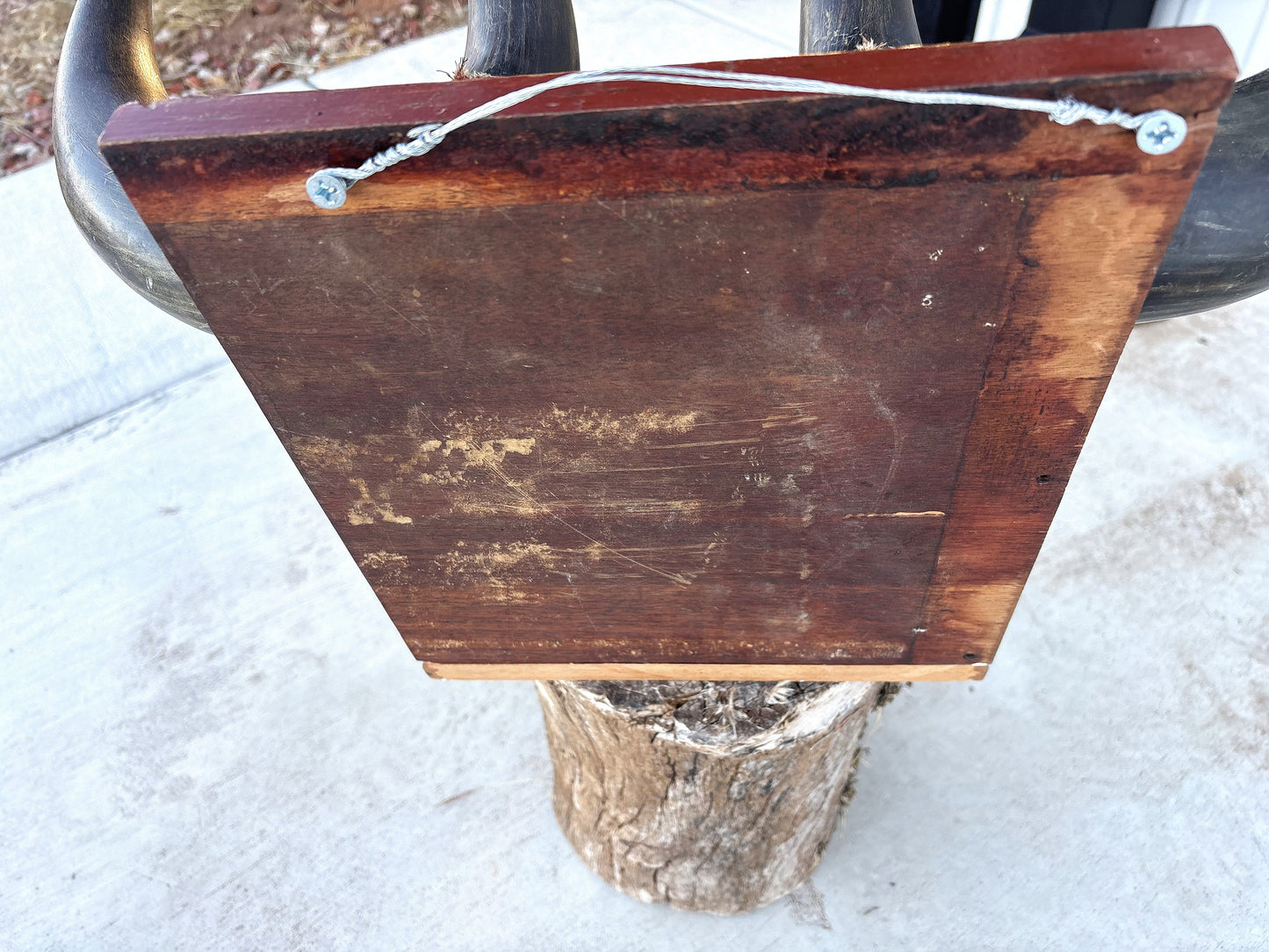 Historic - Antique Bison Horn Hat/Coat/Gun rig Rack