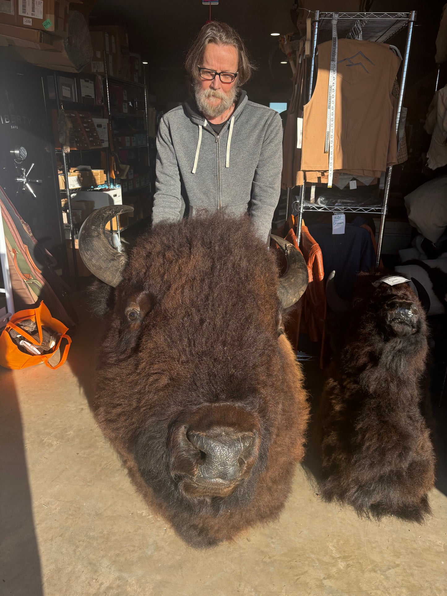 Bison Shoulder Mounts - exceptionally nice!