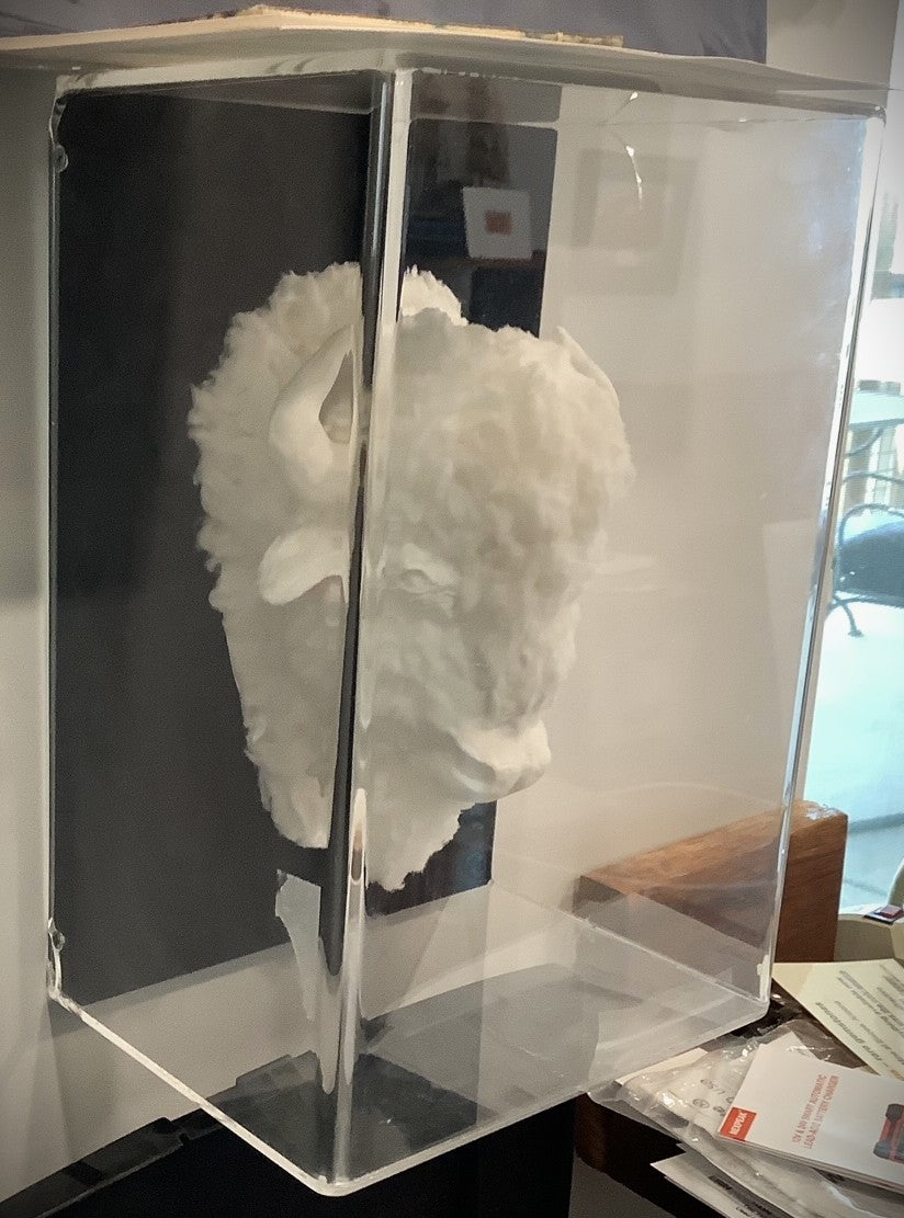 Buffalo Head