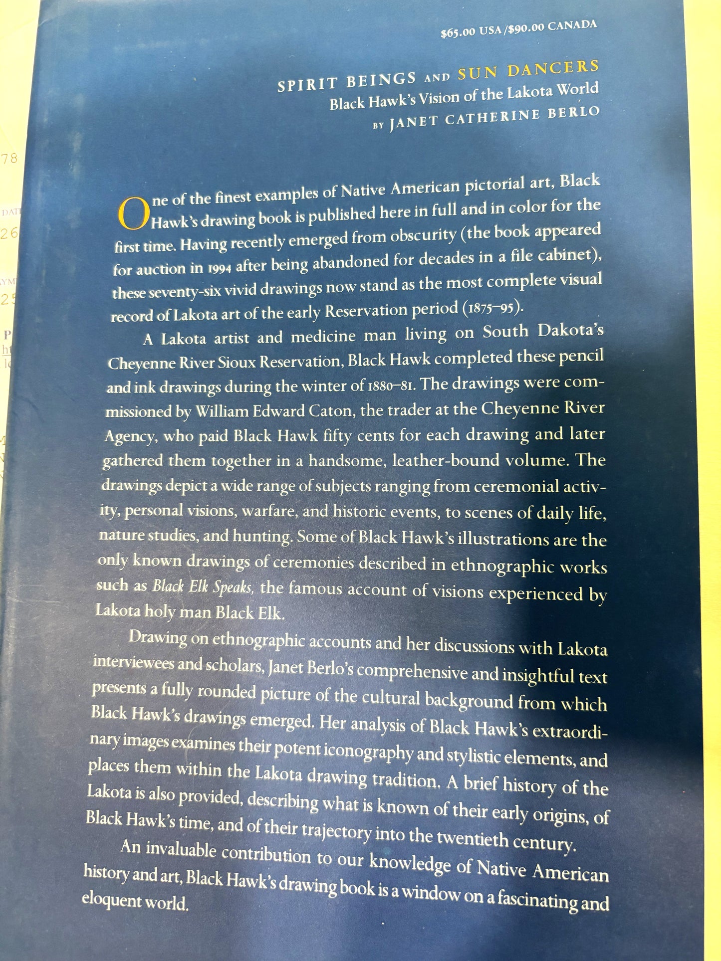 BOOKS - Spirit Beings and Sun Dancers