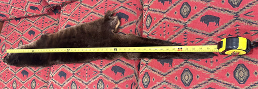 River Otter Pelt