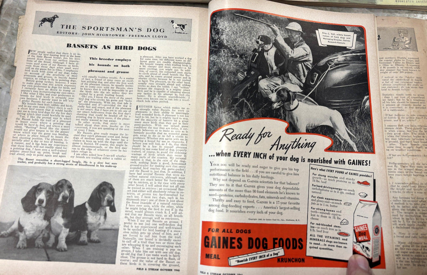 1946 Field and Stream Issues