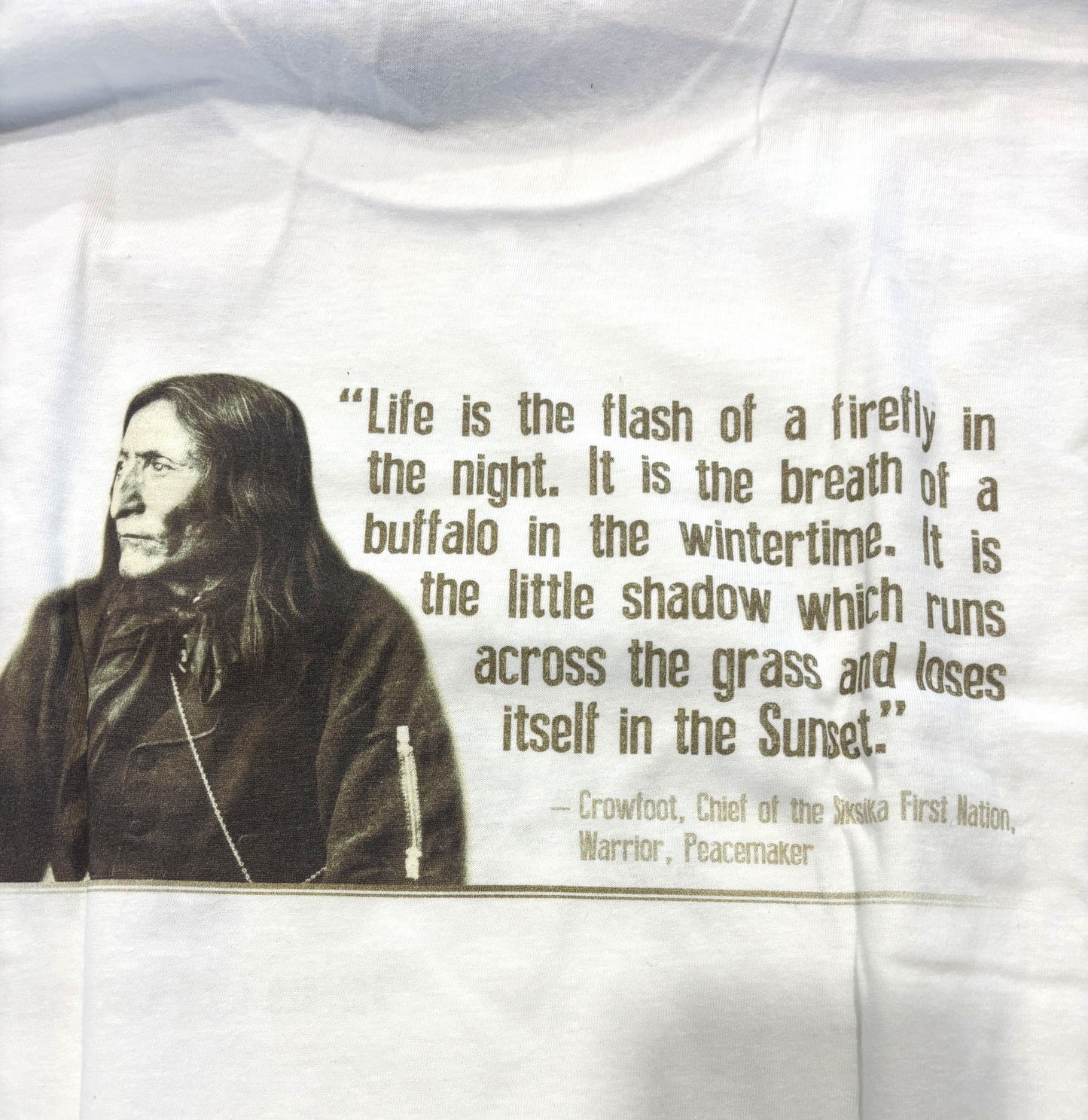 "Winter Bison" T-shirts