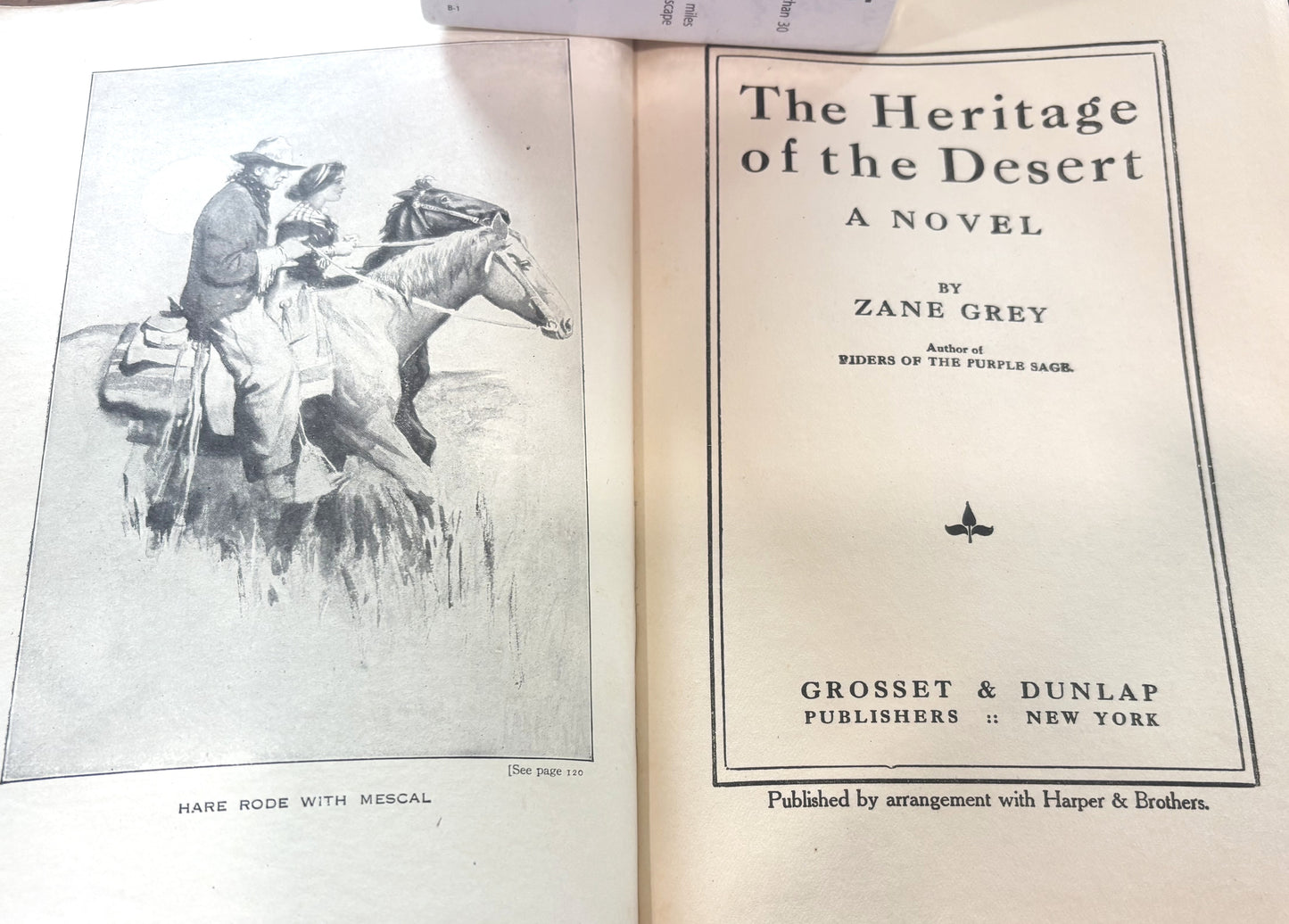 BOOKS - The Heritage of the Desert - Zane Grey - 1910