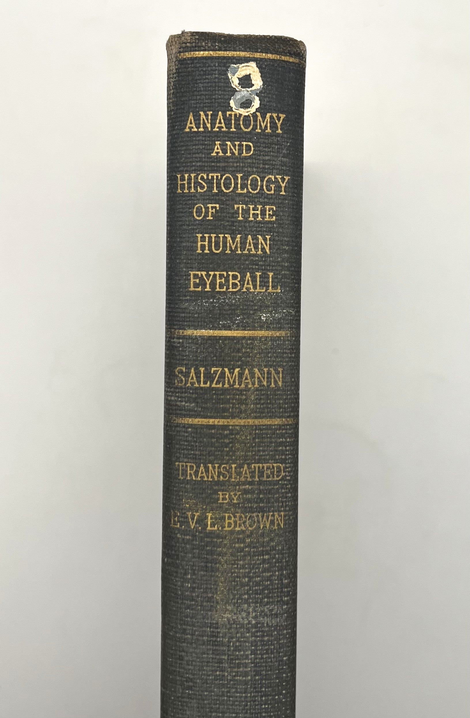 BOOKS - ANATOMY AND HISTOLOGY OF THE HUMAN EYEBALL IN THE NORMAL