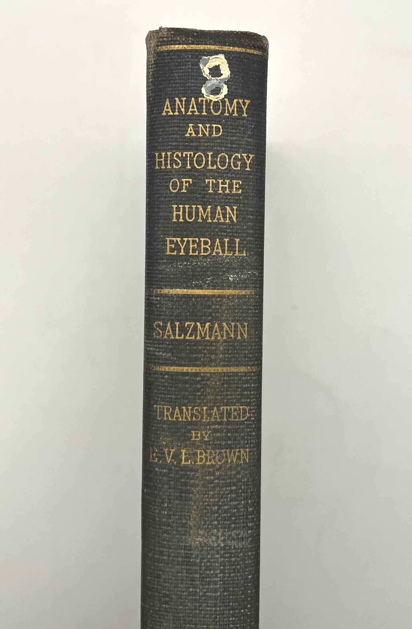 BOOKS - ANATOMY AND HISTOLOGY OF THE HUMAN EYEBALL IN THE NORMAL STATE,