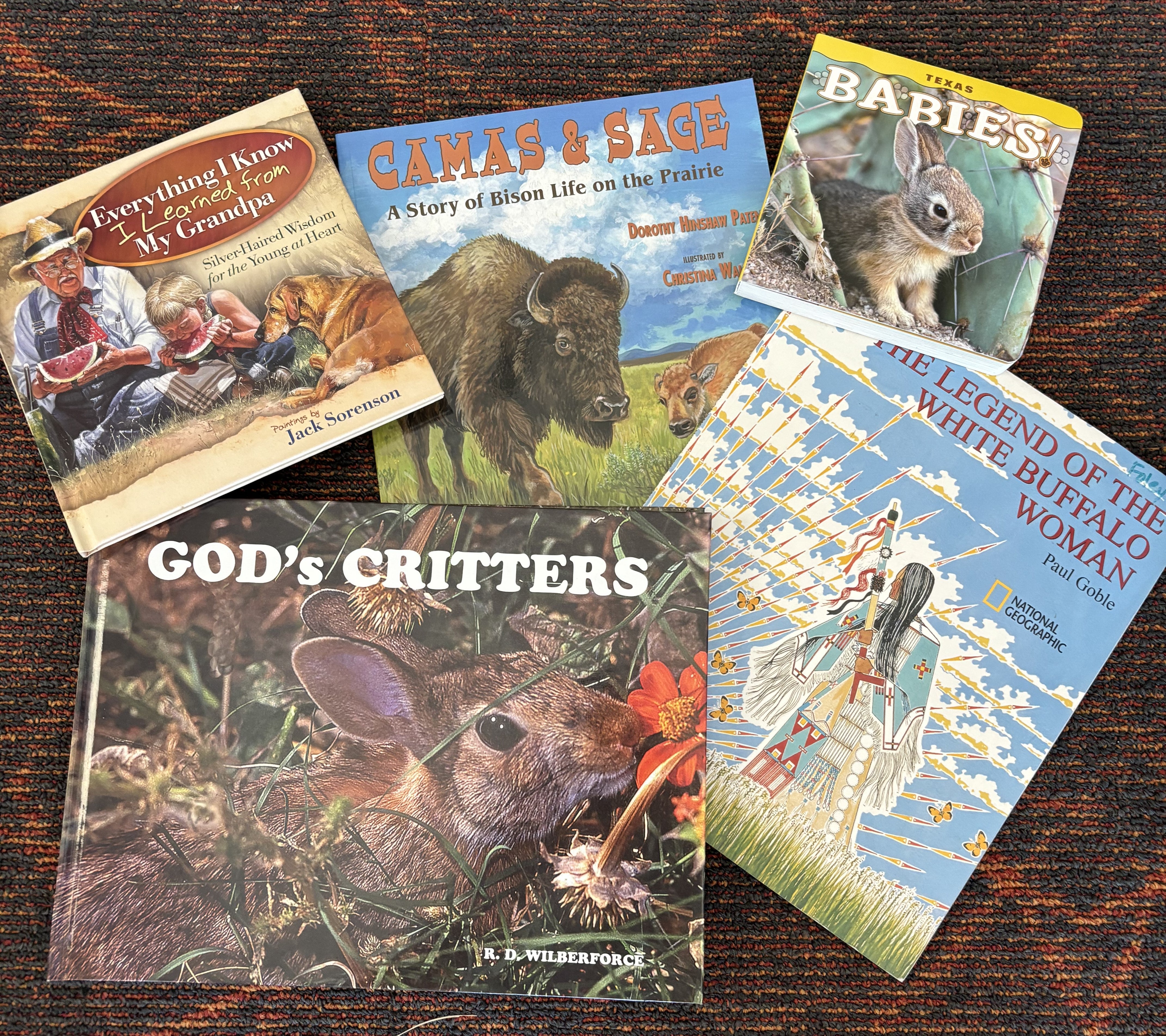 Kids Book Bonanza ... 5 great reads for one goofy price