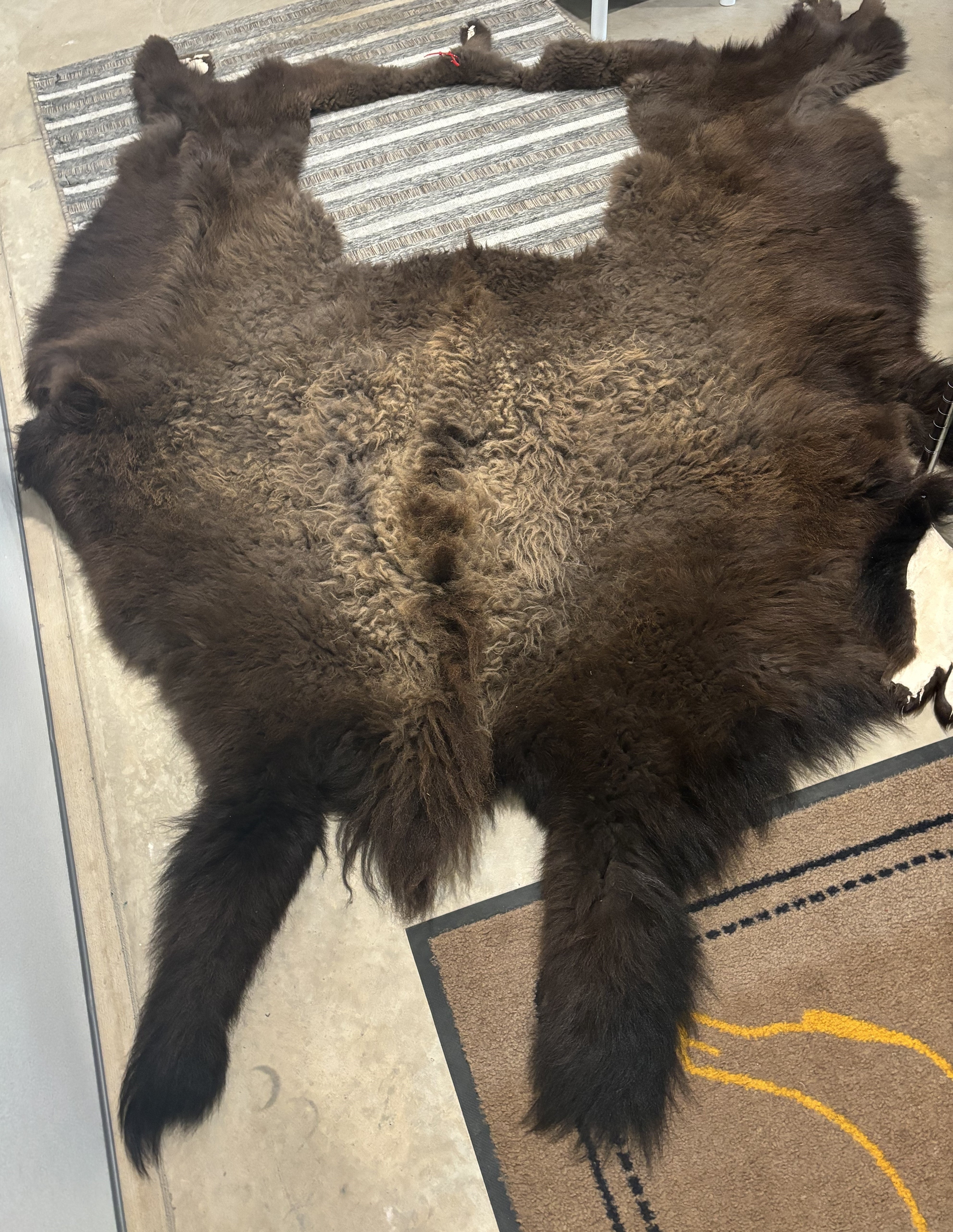 2/3 (part of) Tanned Bison Robe