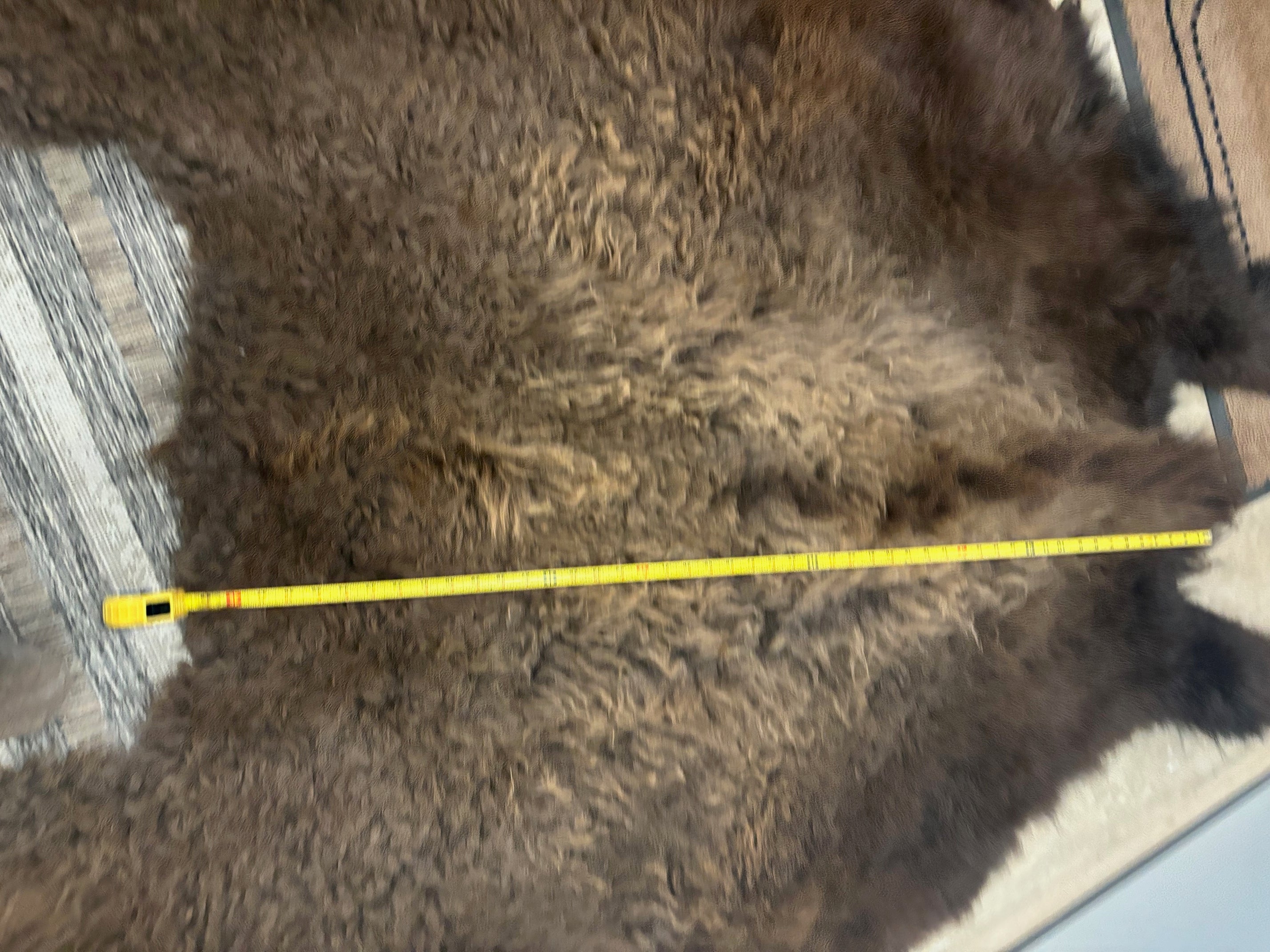 2/3 (part of) Tanned Bison Robe