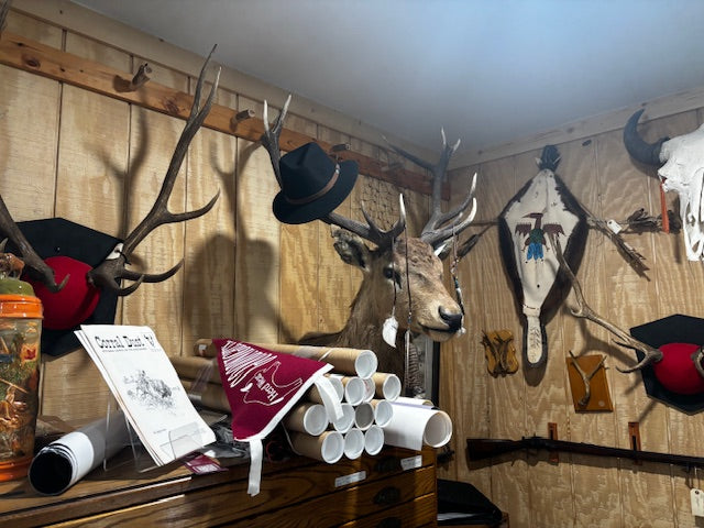 Bison skulls, Longhorn mounts, Elk Mounts, Mule Deer, Rusa Deer, Whitetail rack mounts and more.