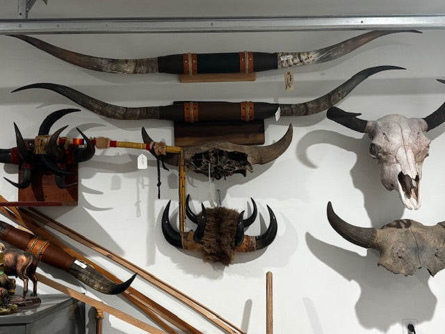 Bison skulls, Longhorn mounts, Elk Mounts, Mule Deer, Rusa Deer, Whitetail rack mounts and more.