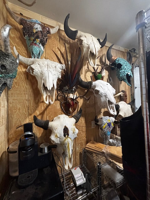 Bison skulls, Longhorn mounts, Elk Mounts, Mule Deer, Rusa Deer, Whitetail rack mounts and more.