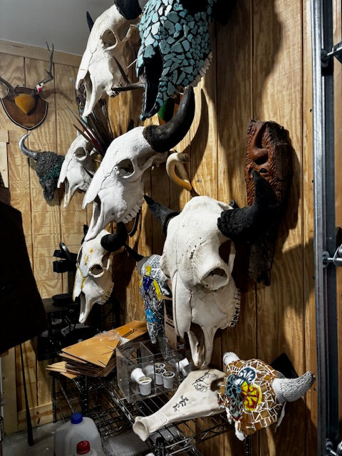 Bison skulls, Longhorn mounts, Elk Mounts, Mule Deer, Rusa Deer, Whitetail rack mounts and more.