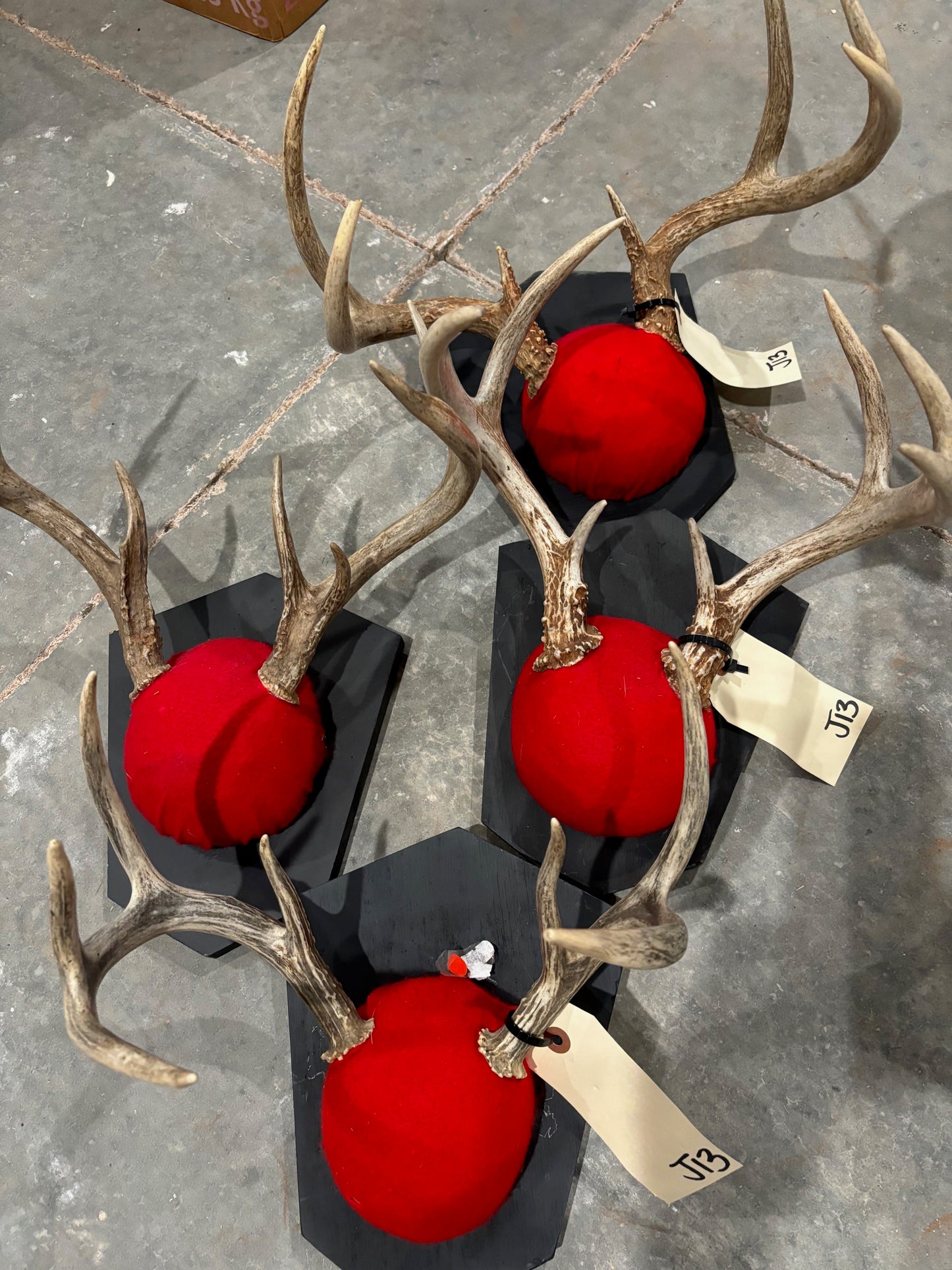 8 whitetail deer antler mount/plaques