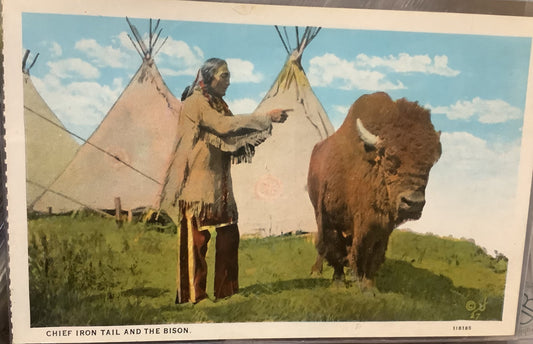 The "Collection - historic bison and bison related postcards
