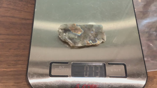 Labradorite slabs - unpolished and photographed wet