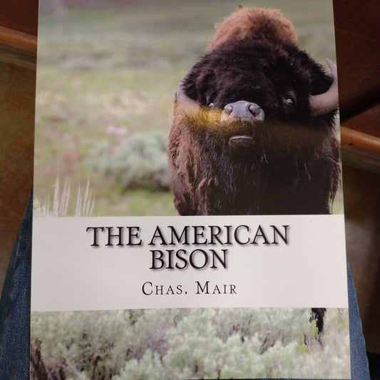 The American Bison by Chas. Mair