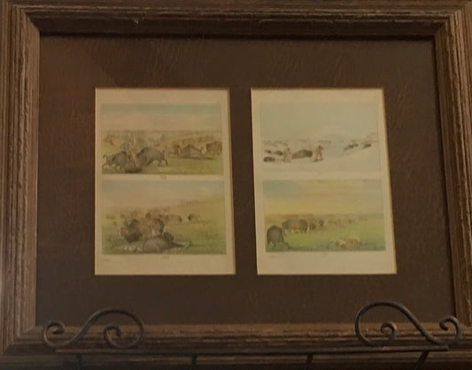 Book Plates - George Catlin