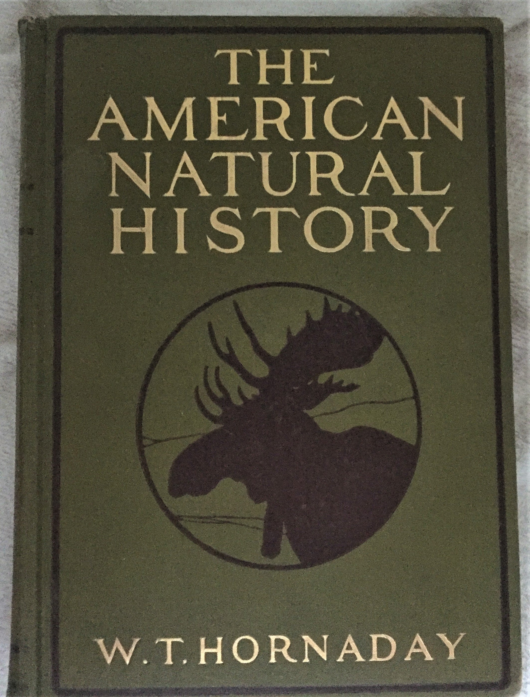 BOOKS - Hornaday's  American Natural History