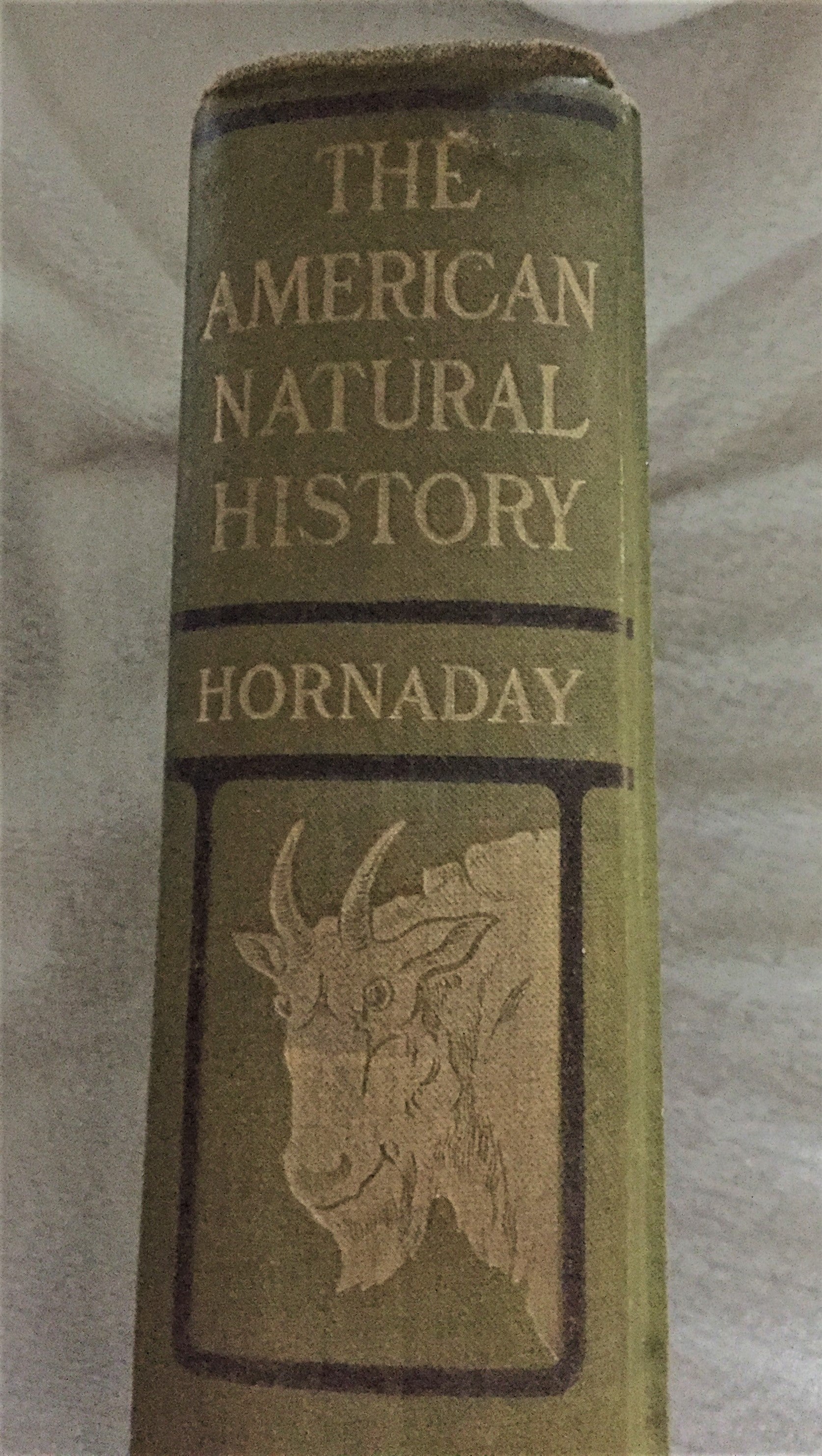 BOOKS - Hornaday's  American Natural History