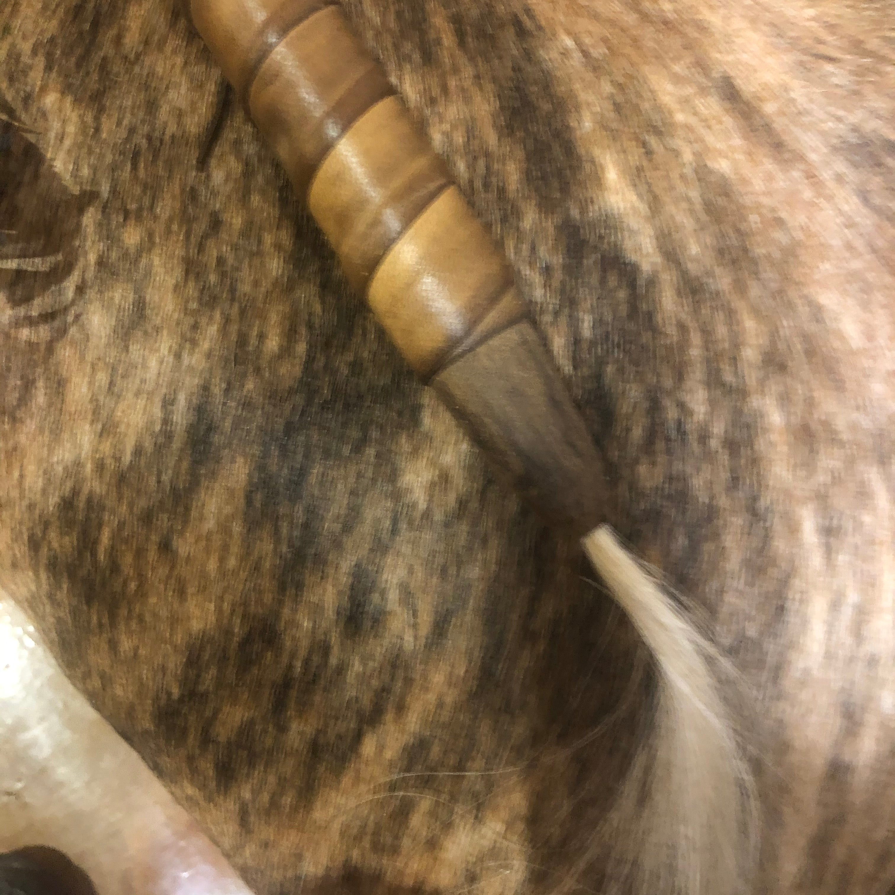 Bison Horn Dance Rattle - Native made