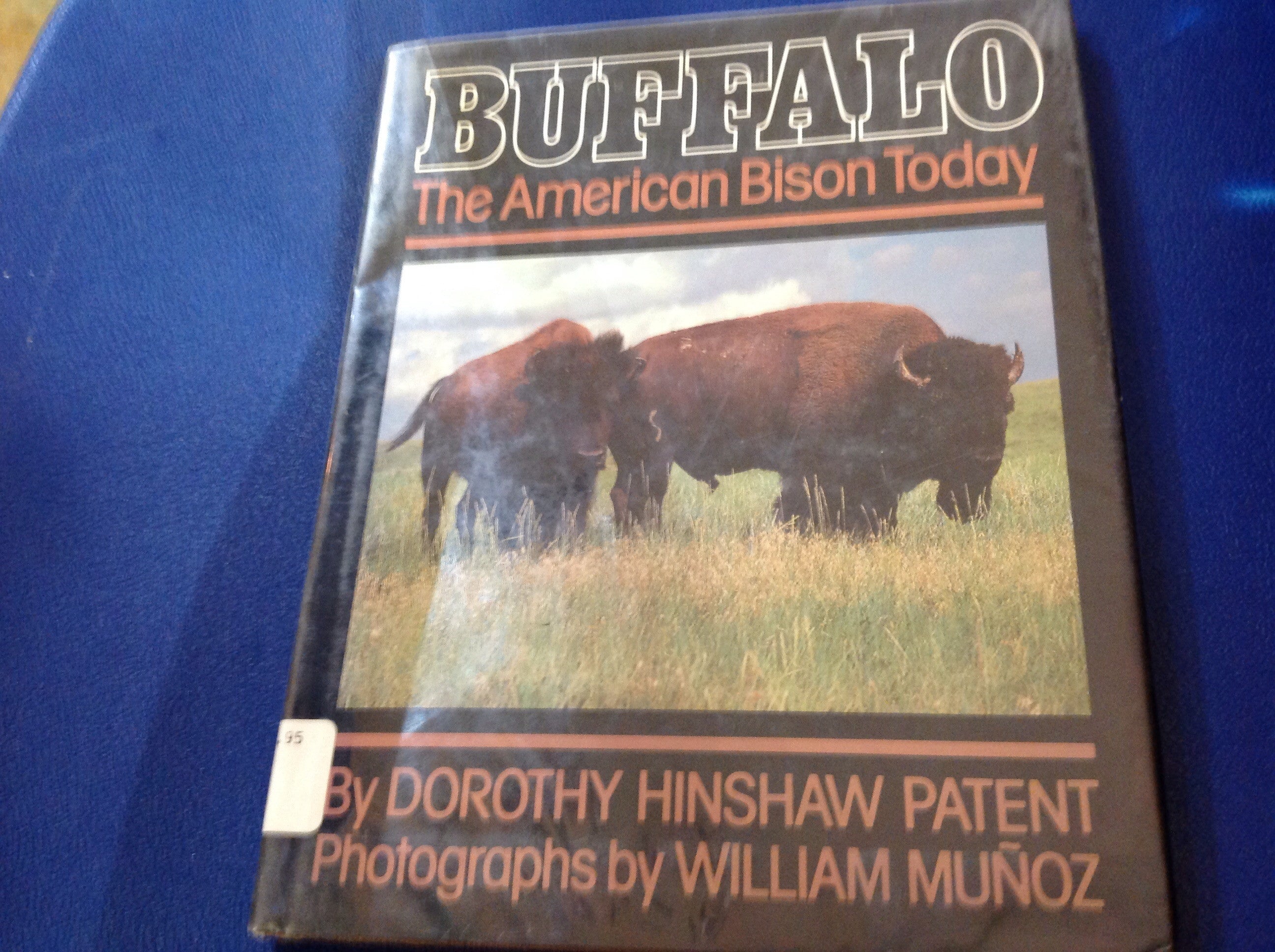 BOOKS - Buffalo: The American Bison Today