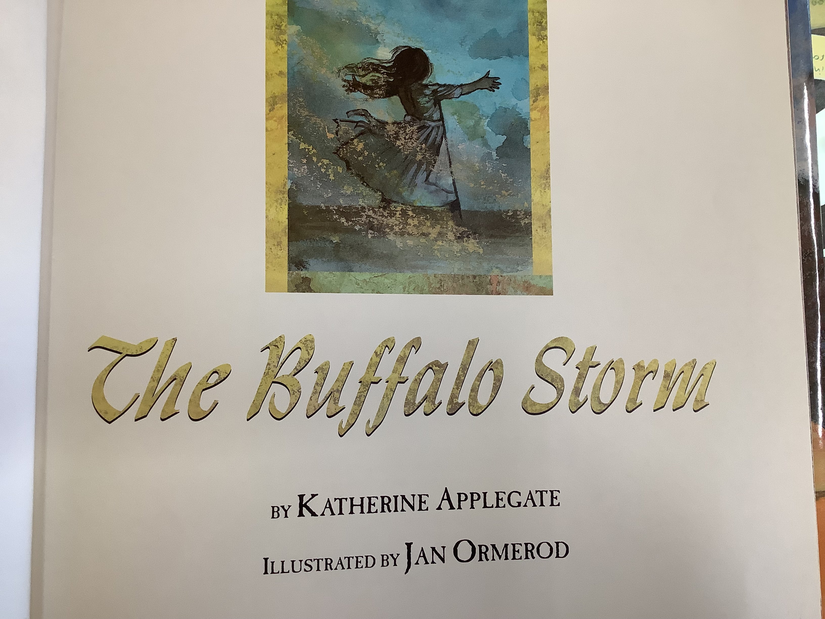 BOOKS - The Buffalo Storm