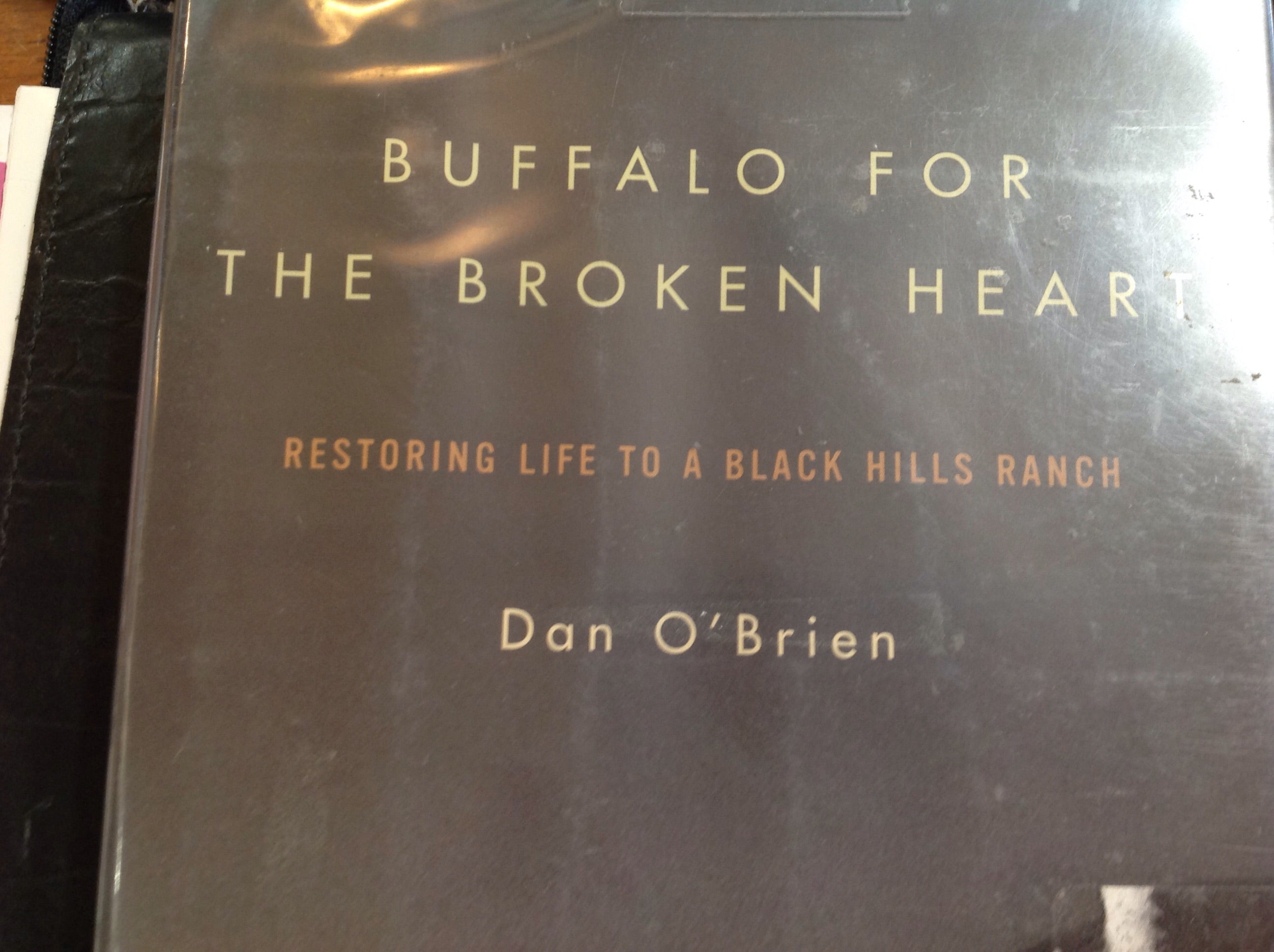 BOOKS - Buffalo for the Broken Heart