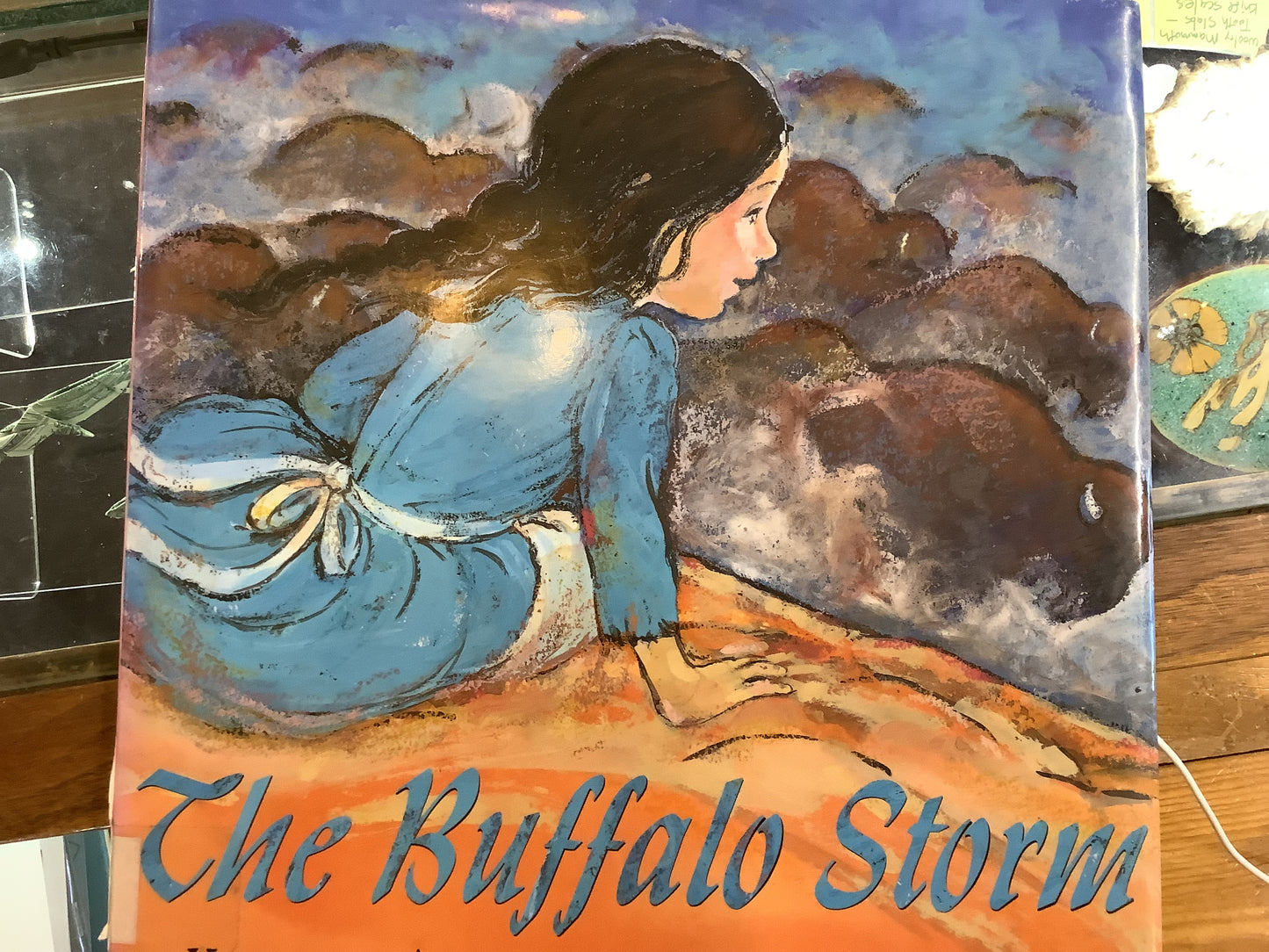 BOOKS - The Buffalo Storm
