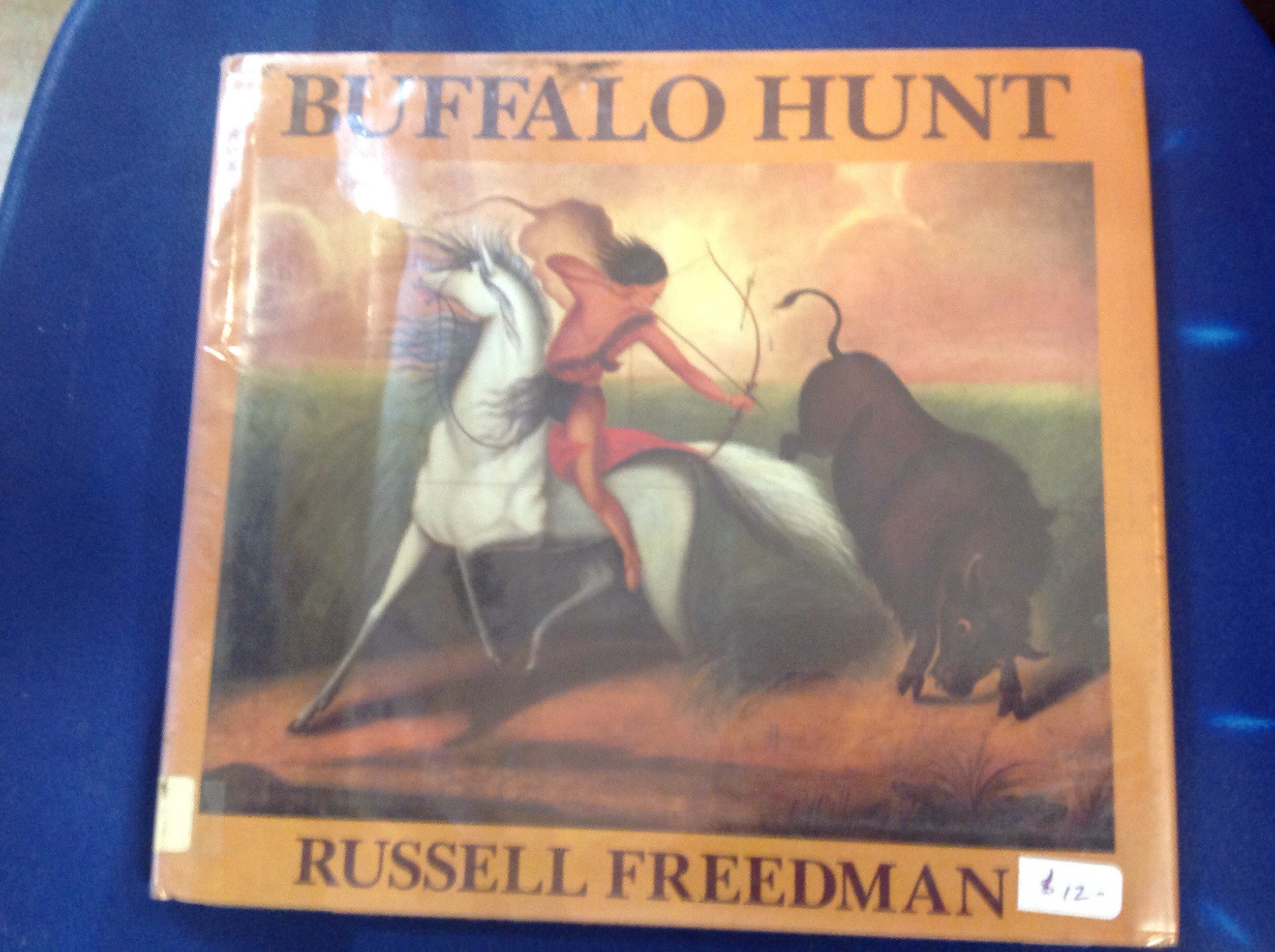 BOOKS - Buffalo Hunt