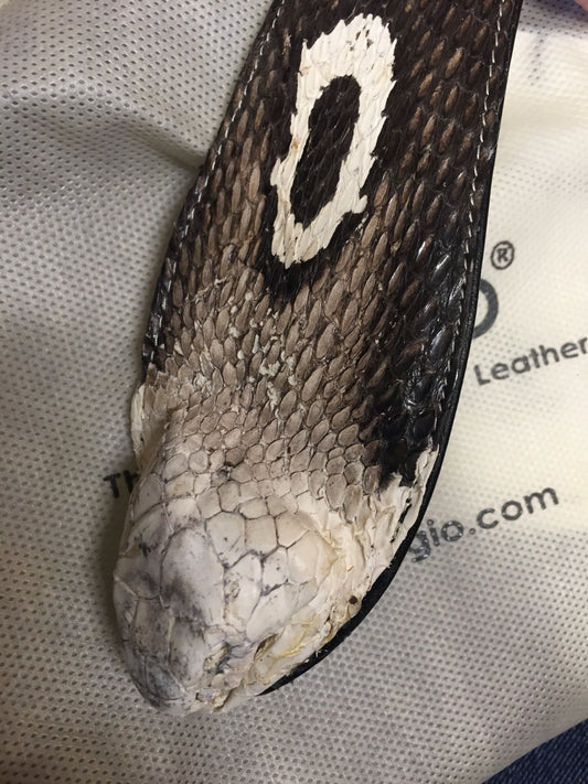 Cobra Skin Belt - One Size