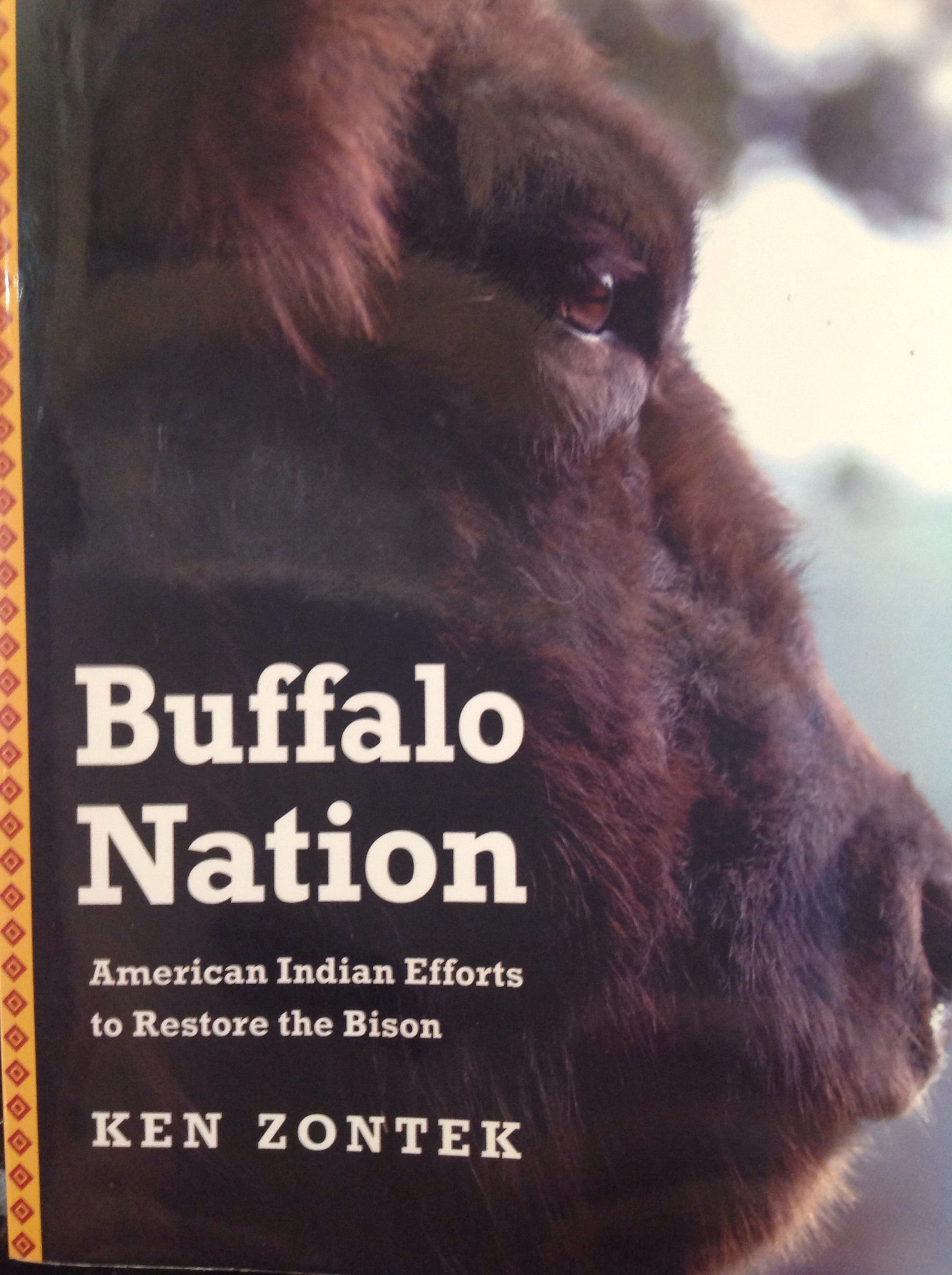 Books - Buffalo Nation - American Indian Efforts to Restore the Bison